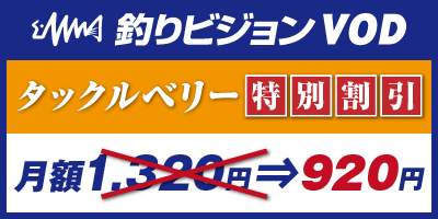 釣りビジョン