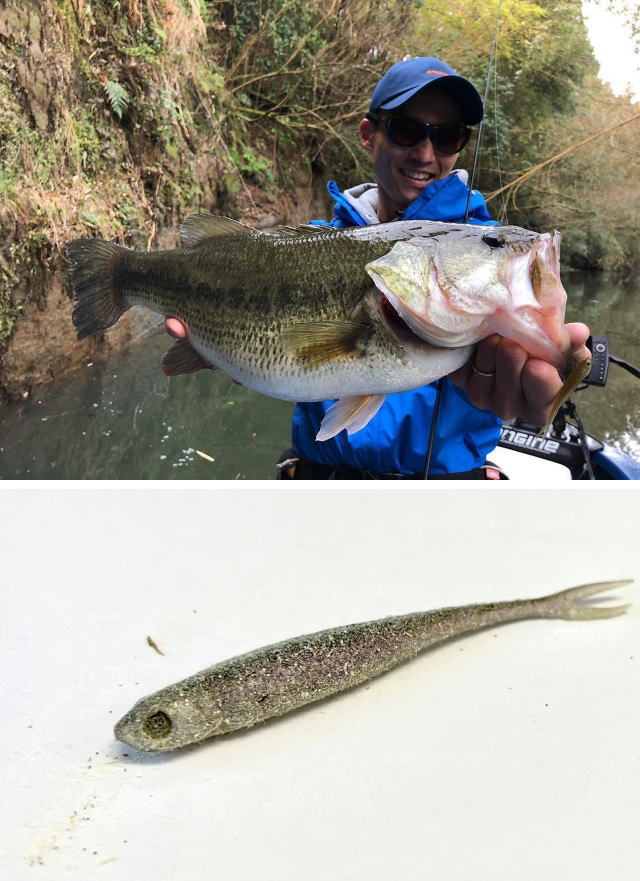 釣果写真