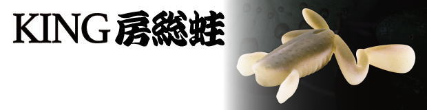 KING房総蛙