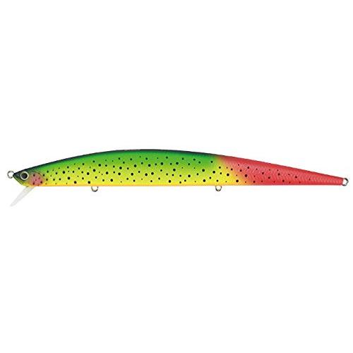 タイドミノースリム175北海道限定