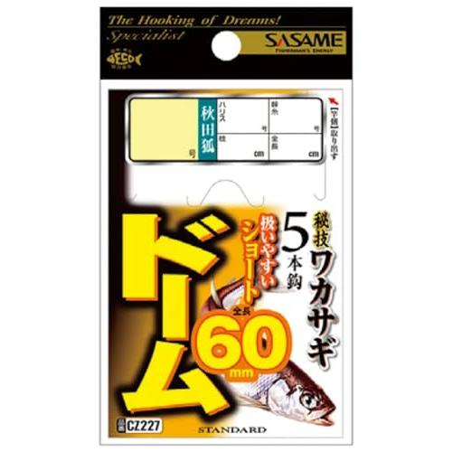 ドーム60