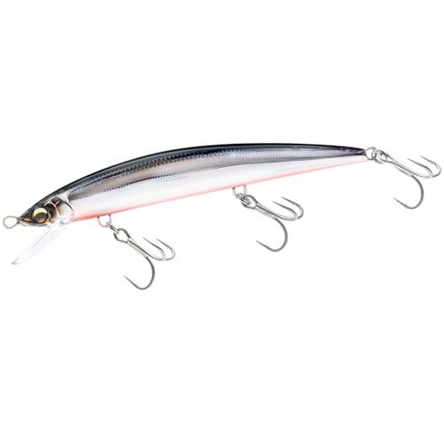 アイルマグネットTGミノースリム145F
