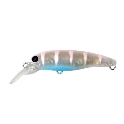 月虫55沈AREA・あわび