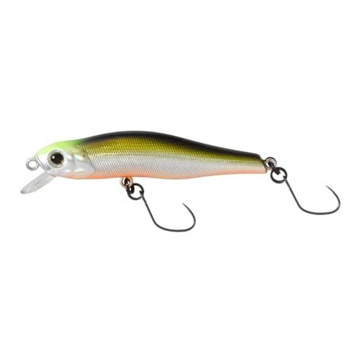 シュマリ55Fスイチュウイエリアスイチュウイ