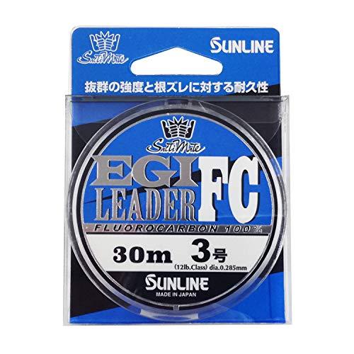 エギリーダーFC30m