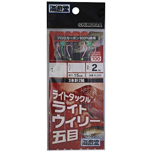 ライトウイリー五目