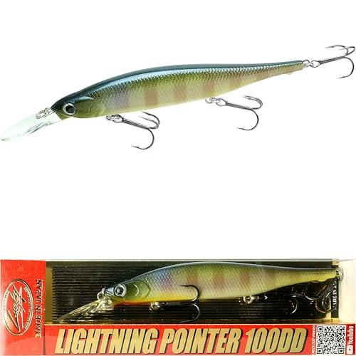 ライトニングポインター100DD
