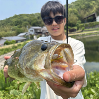 投稿者画像
